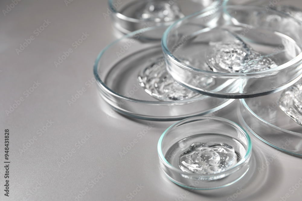 Petri dishes with samples on grey background, closeup. Space for text Petri dishes with samples on grey background, closeup. Space for text