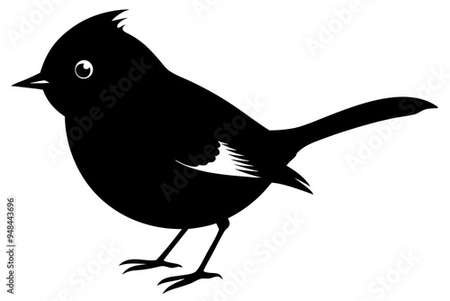 Silhouette of a Golden-collared Manakin Bird, Illustration, Vector, Clipart photo