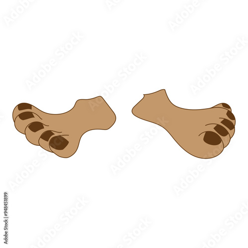 Feet