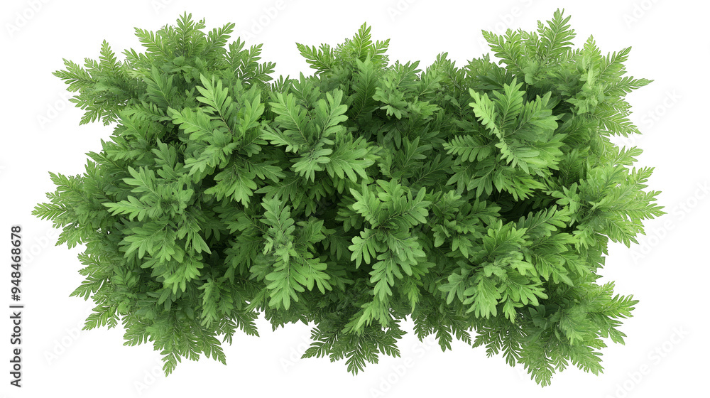 Fototapeta premium Vibrant green foliage showcasing lush leaves, perfect for nature-themed projects and designs. Ideal for organic and fresh visuals.