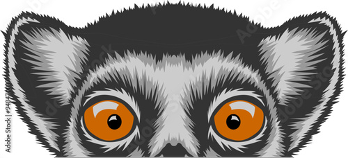 Lemur Face Peeking Color