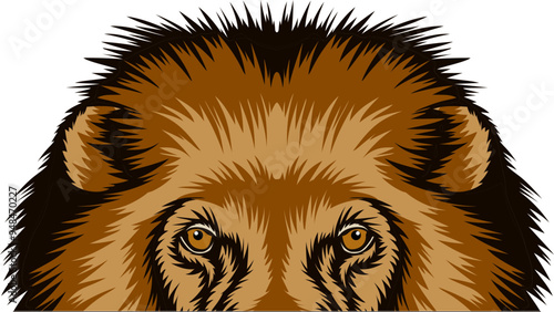 Lion Face Peeking Color