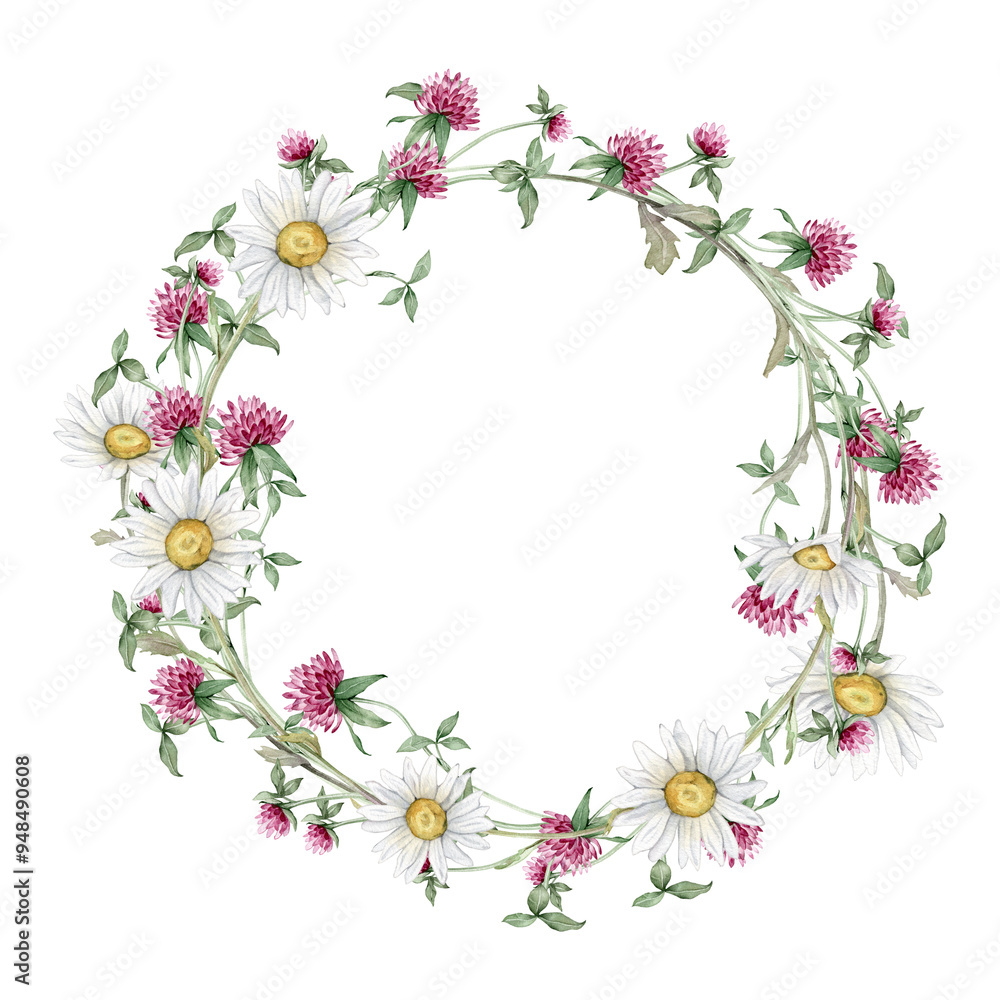 Chaplet or circlet of flowers with clover and chamomile or daisy. Wreath of red flower meadow, forest flowers. Watercolor hand painting botanical illustration on isolate. Chaplet or circlet of flowers with clover and chamomile or daisy. Wreath of red flower meadow, forest flowers. Watercolor hand painting botanical illustration on isolate.