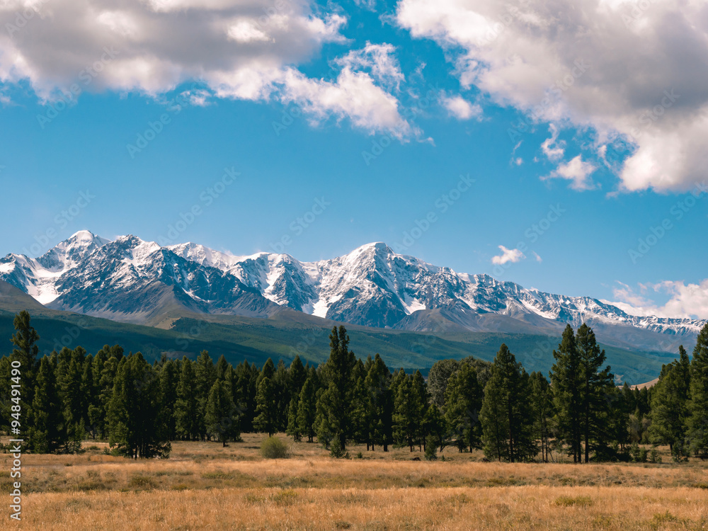 Obraz premium Majestic snow-capped mountains tower over serene green forest under bright blue sky