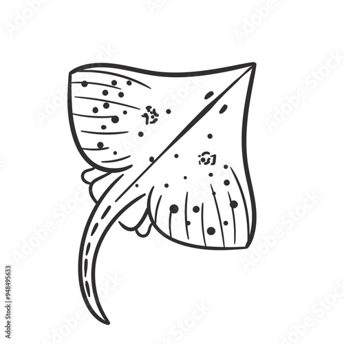Elements skate fish