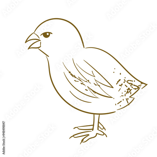 Farm Animal Chick