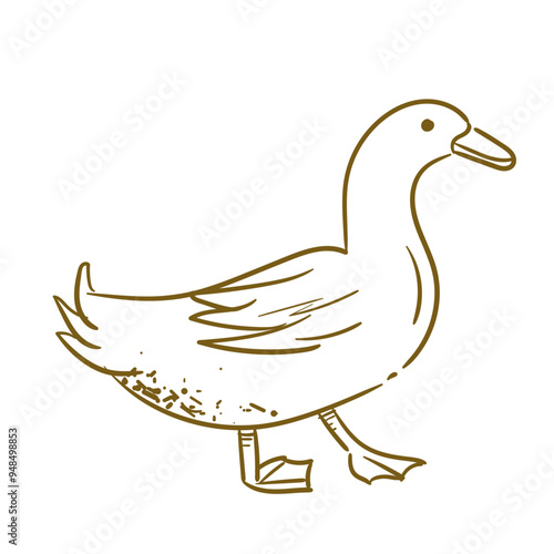 Farm Animal Duck