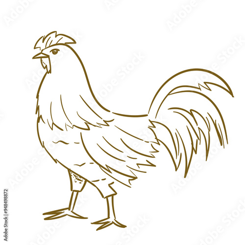 Farm Animal Chicken