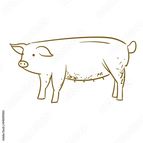 Farm Animal Pig