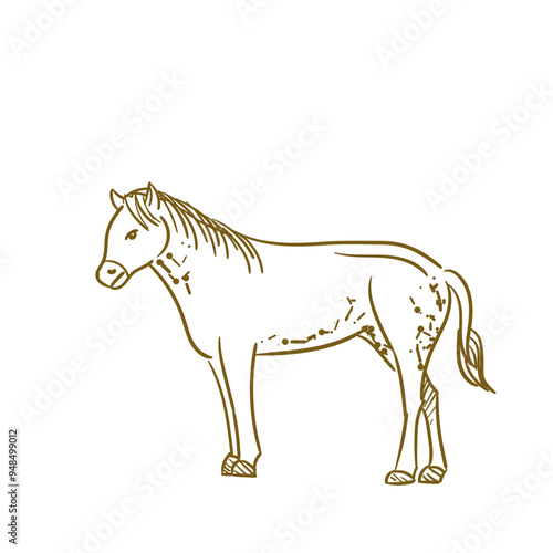 Farm Animal Horse