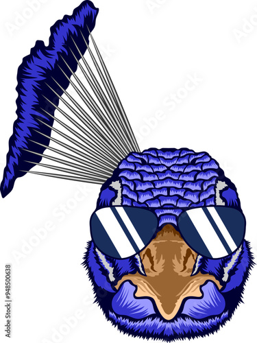 Peacock Face Aviator Sunglasses