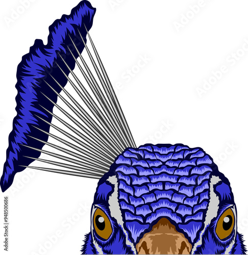 Peacock Face Peeking Color