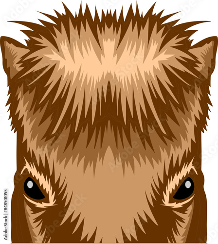 Pony Face Peeking Color