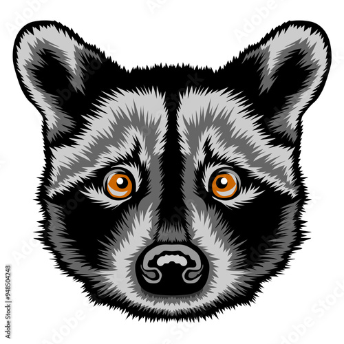 Raccoon