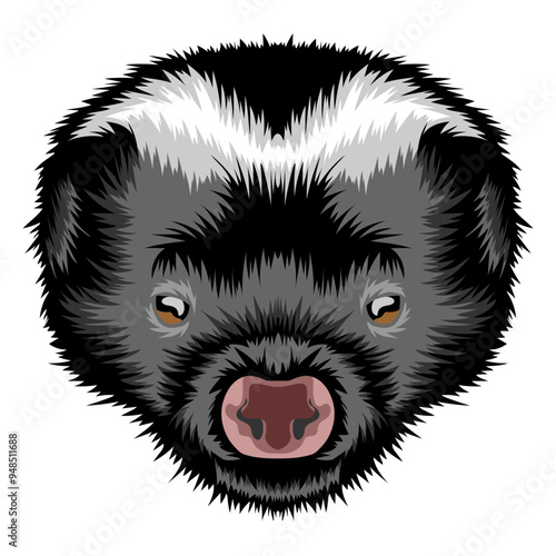 Skunk
