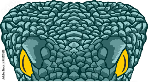 Snake Face Peeking Color