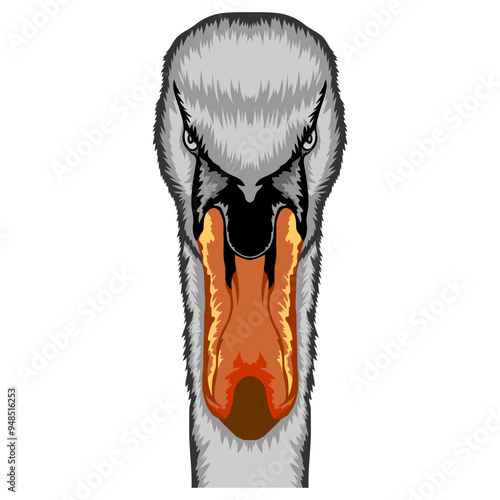 Swan