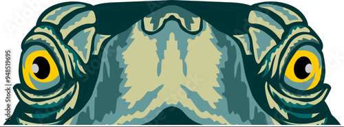 Turtle Face Peeking Color