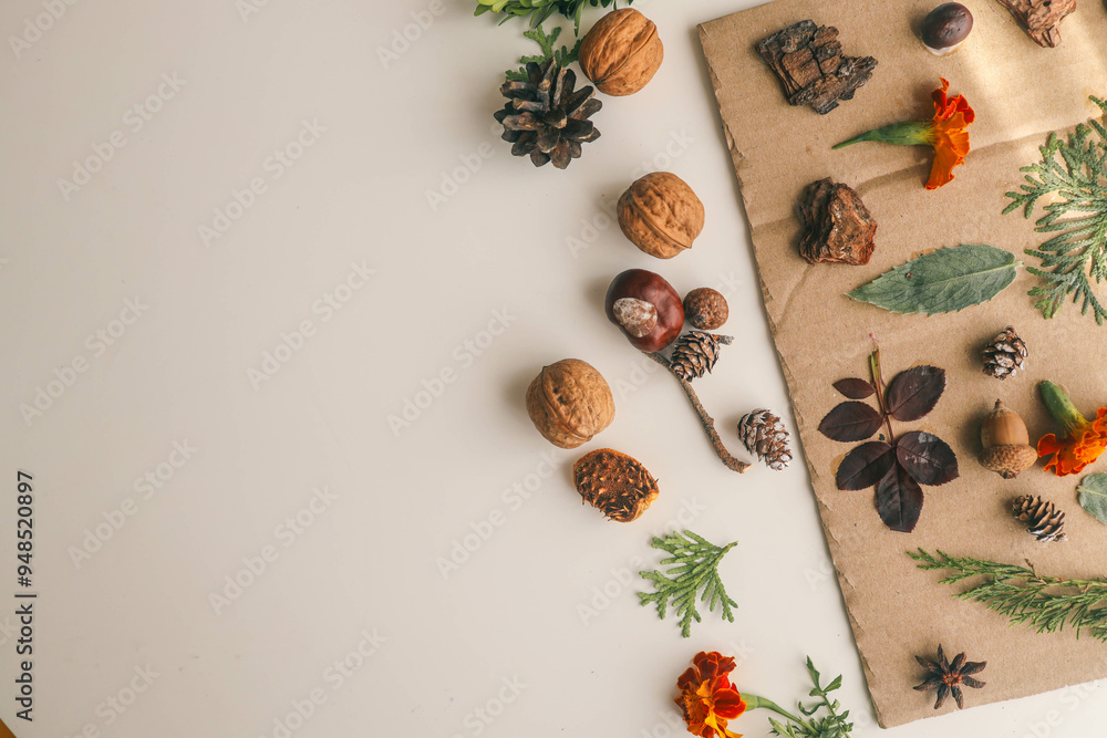 Obraz premium A child makes a herbarium in an album from autumn colorful red, yellow and brown leaves. Happy autumn time