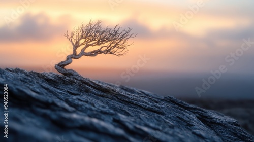 A windswept tree, enduring through time, stands on rocky terrain under the warm glow of sunrise, symbolizing strength and resilience in the face of adversity, inspiring hope and beauty.