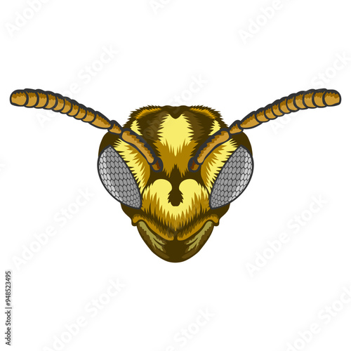 Wasp