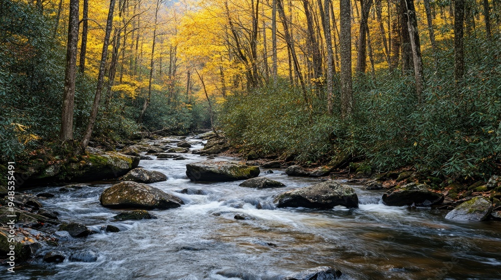 A serene view of a mountain stream in the Great Smoky Mountains. No people, copy space. A serene view of a mountain stream in the Great Smoky Mountains. No people, copy space.