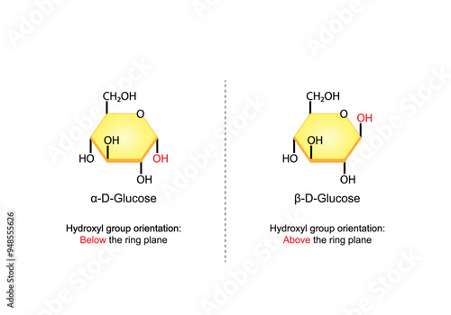 Alpha versus Beta Glucose. Stereoisomers. Chemical structure. Chemistry. scientific vector illustration.	
