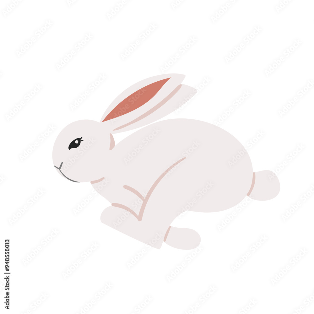 Rabbit Set Rabbit Set