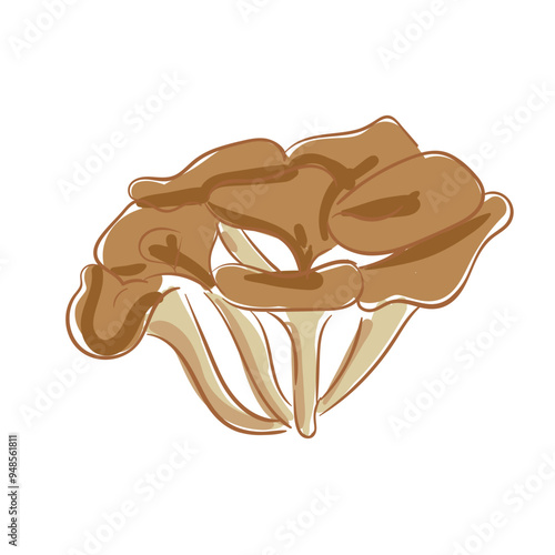 Hand Drawn Maitake Mushrooms
