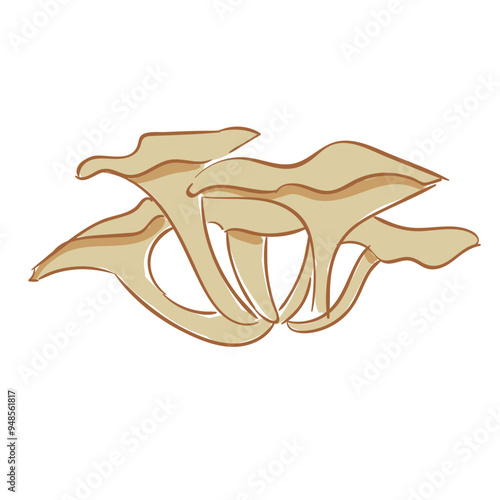 Hand Drawn Oyster Mushrooms