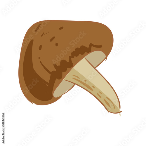 Hand Drawn Shiitake Mushrooms