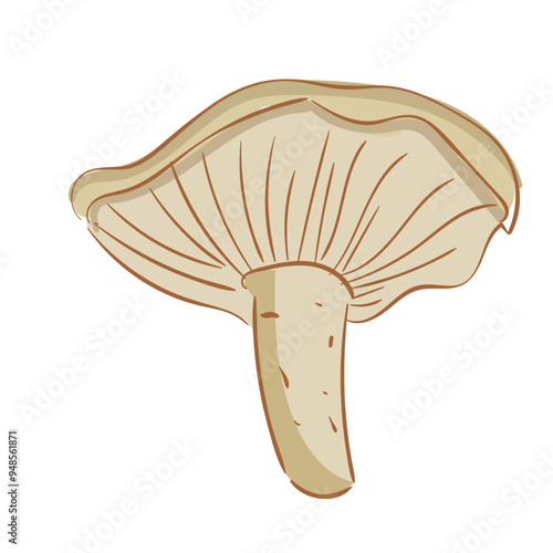 Hand Drawn Wood Blewit Mushrooms