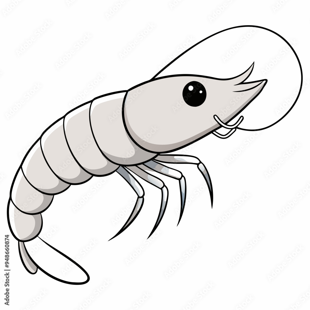 Pacific White Shrimp art vector Pacific White Shrimp art vector
