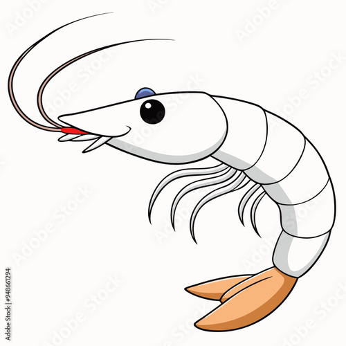 Pacific White Shrimp art vector