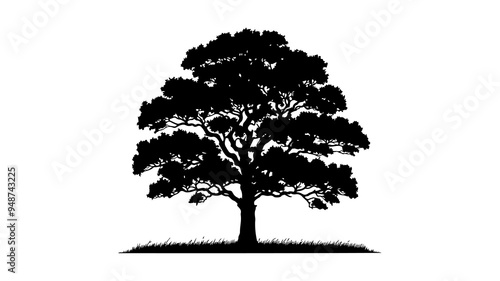 Oak tree silhouette vector illustration.