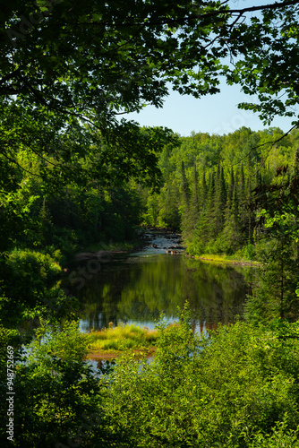 Summer landscape.
