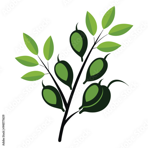 green chickpeas arranged on a twig with leaves, vector illustration 