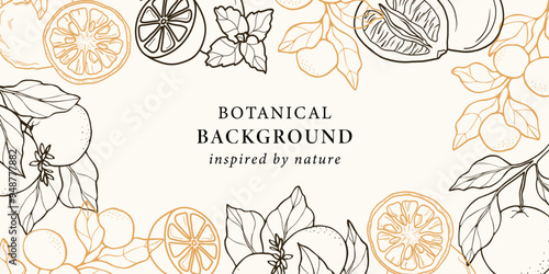 Line art citrus fruits background. Lemon, bitter orange, yuzu, pomelo, clementine, mandarin