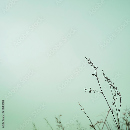 Fundo minimalista verde deslumbrante e lindo: um tesouro visual sereno e elegante. Mostrando o charme da simplicidade da natureza. photo