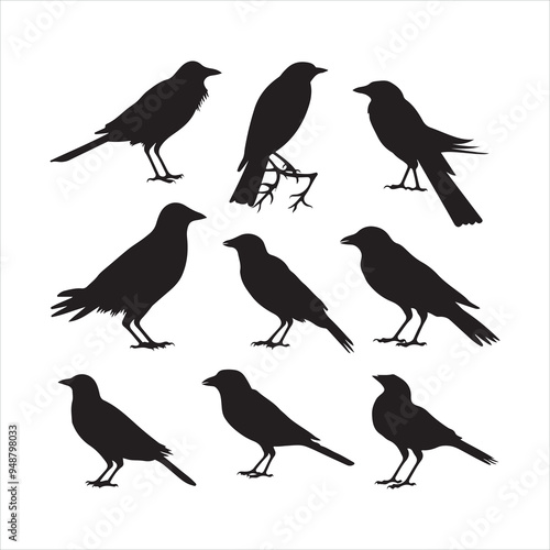 Wallpaper Mural Black silhouette bird crow set silhouette on white background
 Torontodigital.ca