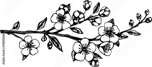 Woodcut of Delicate Cherry Blossom Branch