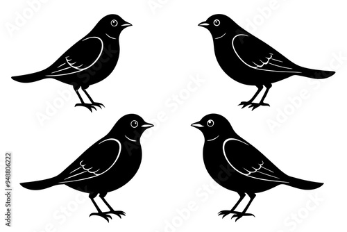 set lark bird silhouette vector illustration