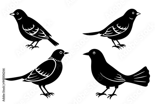 set lark bird silhouette vector illustration