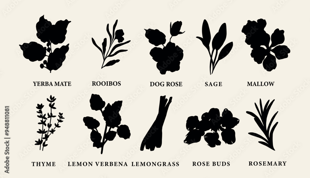 Obraz premium Flat vector tea herbs collection
