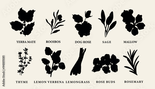 Flat vector tea herbs collection