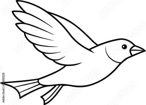 Cute bird vector drawing for kids art time
 photo