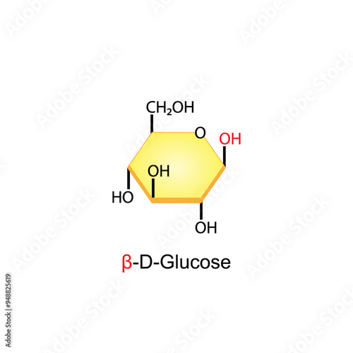 Beta Glucose. Stereoisomers. Chemical structure. Chemistry. scientific vector illustration.	
