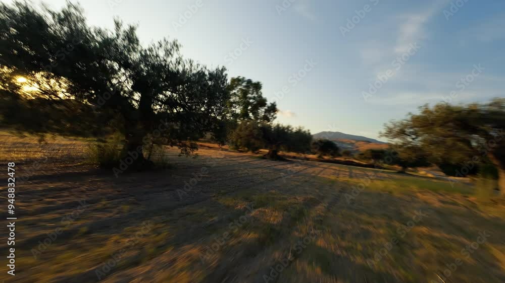 Sun Over The Beautiful Fields Of Calabria Sun Over The Beautiful Fields Of Calabria