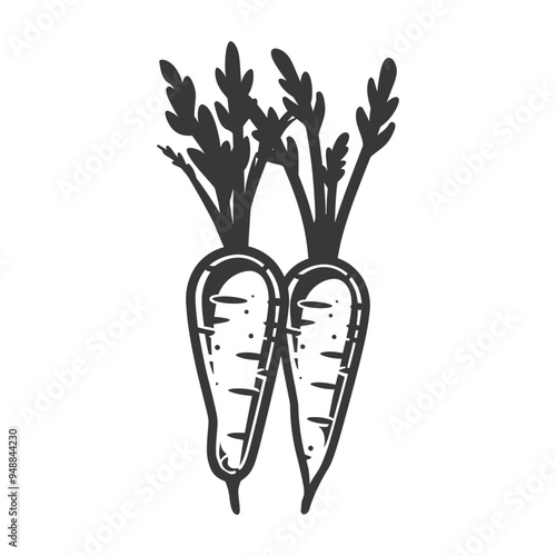 Two Carrots with Green Tops in Silhouette