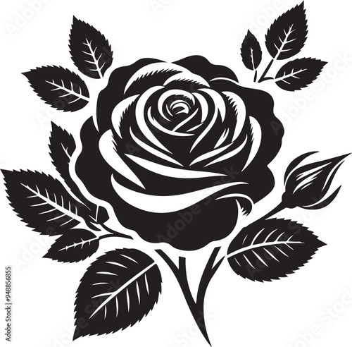 Rose flower vector